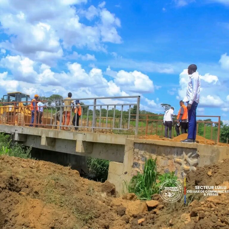 SUIVI DES TRAVAUX DE CONSTRUCTION DES PONTS A KASOMBO ET KANAMWANFWE